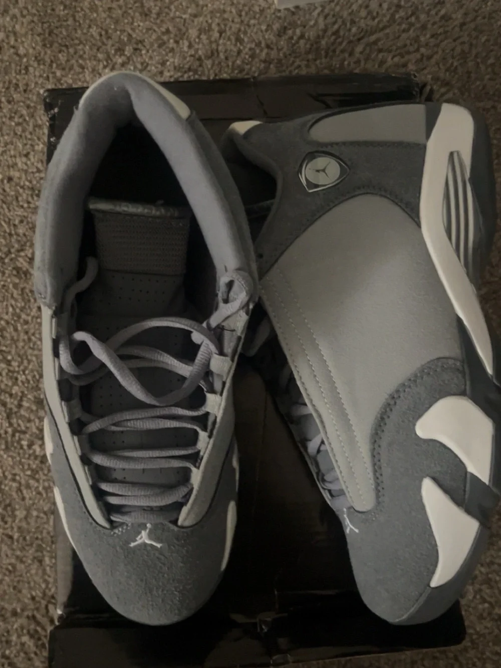 Jordan Men’s Low-Top Sneakers in Gray